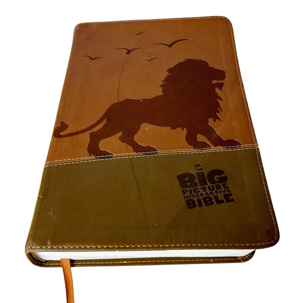 CSB Big Picture Interactive Bible Kids Faux Leather Lion Tabs Homeschool AR App